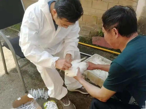 塘壩一周資訊20210521