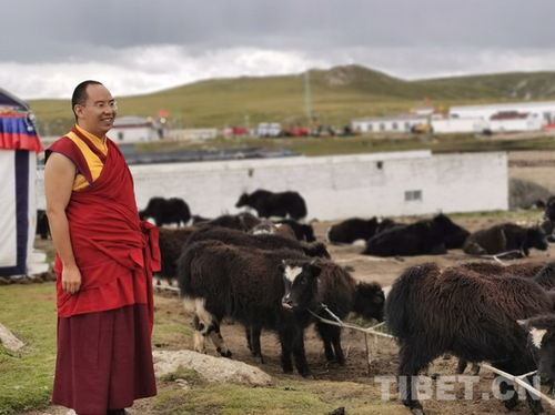 班禪重返故鄉(xiāng)那曲 體察藏北民情，關(guān)注牧區(qū)生態(tài)與養(yǎng)殖基地發(fā)展