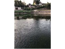 貴溪市磊財(cái)泥鰍養(yǎng)殖專業(yè)合作社養(yǎng)殖基地——綠色生態(tài)，品質(zhì)保障